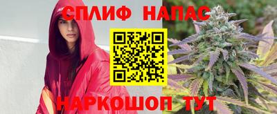 каннабис Кингисепп