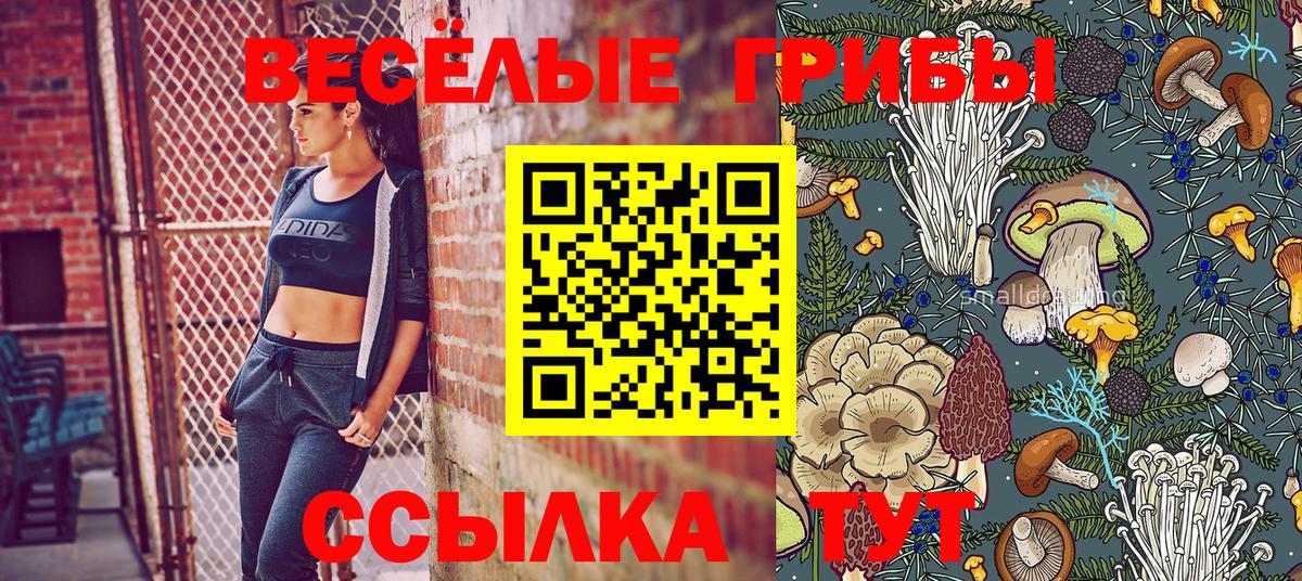 Галлюциногенные грибы GOLDEN TEACHER Кострома